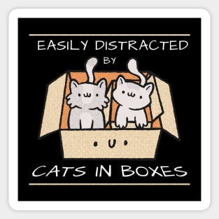 Easy distracted by cats in boxes Sticker